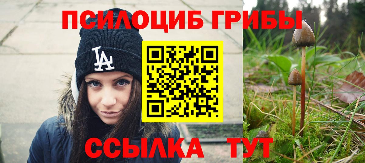 Псилоцибиновые грибы Cubensis Сафоново