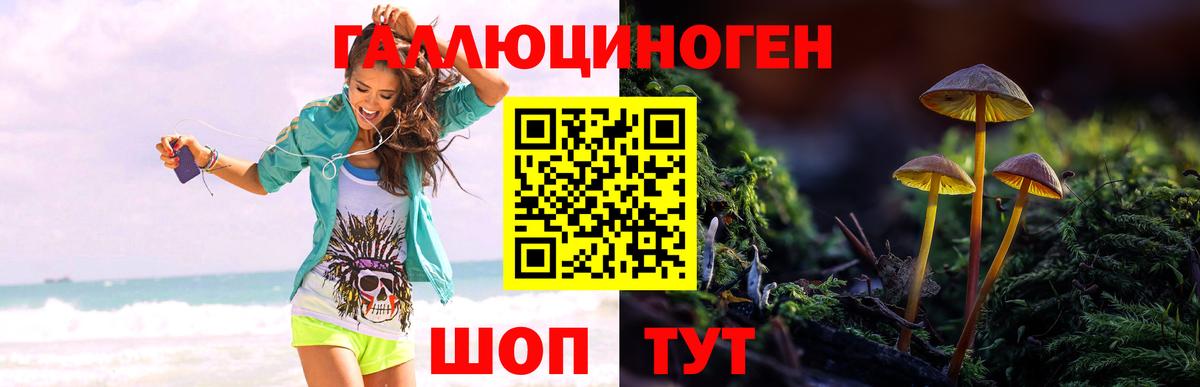 Сафоново  Псилоцибиновые грибы мицелий  Псилоцибиновые грибы Psilocybine cubensis  Вход с VPN 